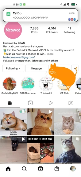 CatDo – screenshot 8