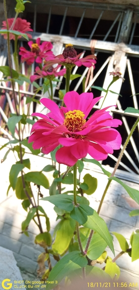 Sm super team – screenshot 1