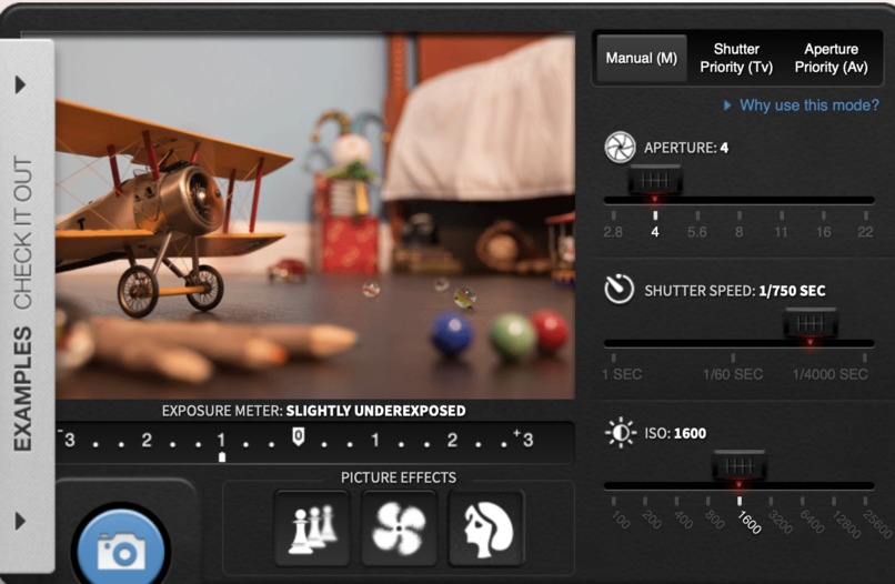 Evergreen – screenshot 4