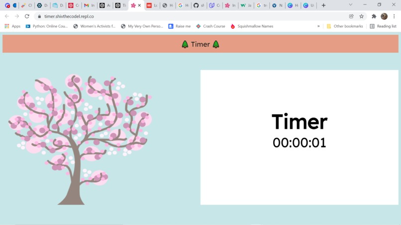Earth Beauty Timer – screenshot 1