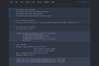 Iris Dataset - Decision Tree