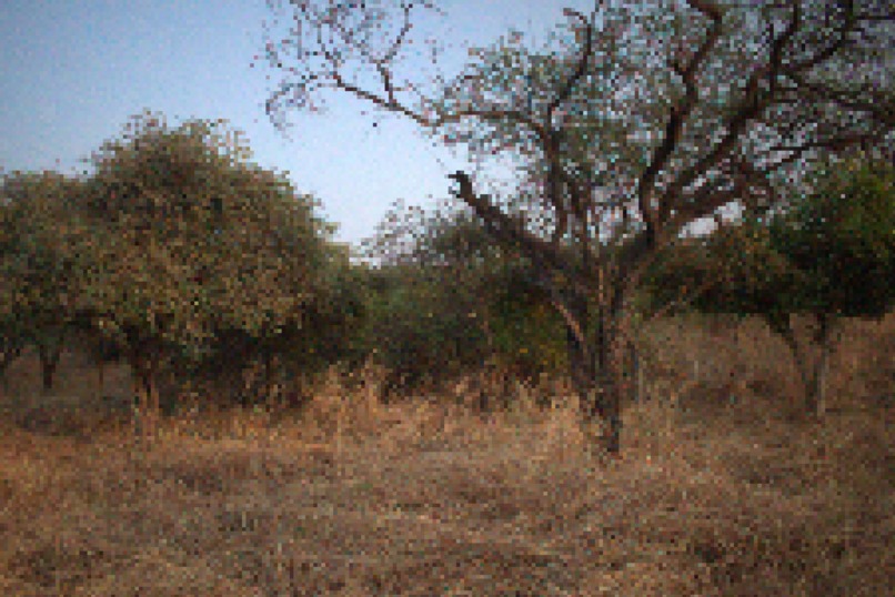 Pixel Art – screenshot 2