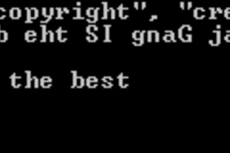 Write a script to reverse a string