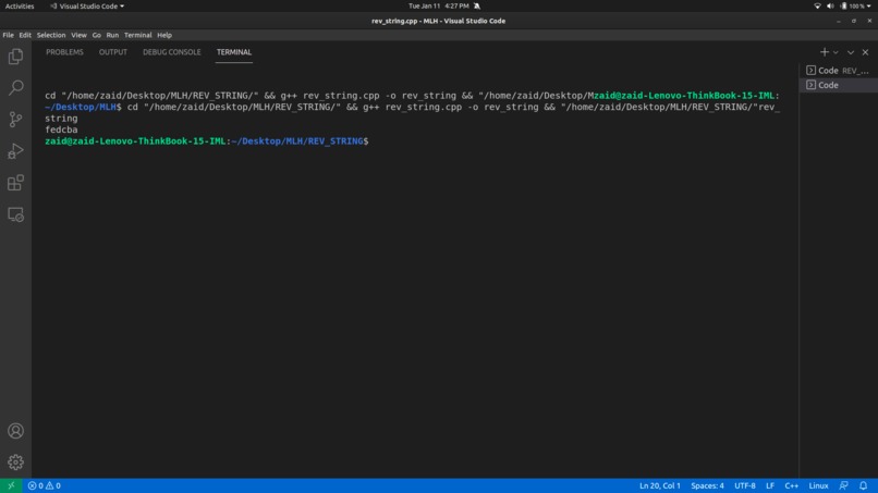 Write a Script to Reverse a String – screenshot 1