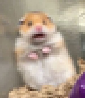 Hamster_Pixart – screenshot 1