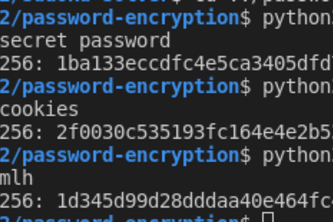 Password Encryption