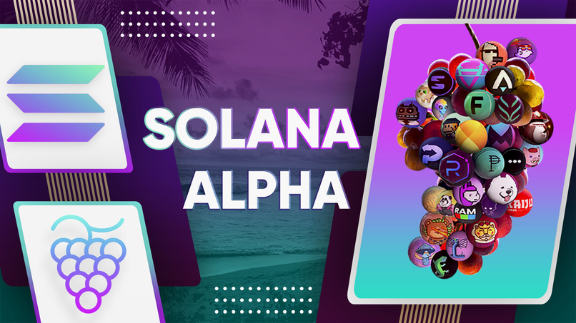 MetaVerse Explorer, your local Solana fanboy! – screenshot 1