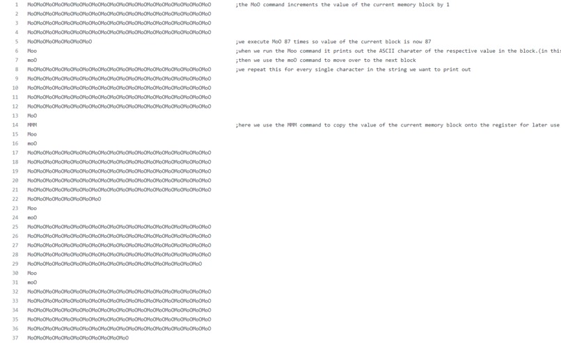 A-simple-program-in-COW – screenshot 1