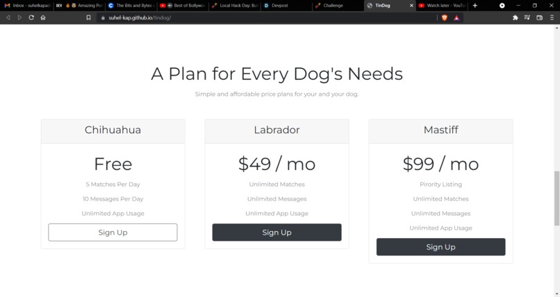 tindog-frontend-only-website – screenshot 1