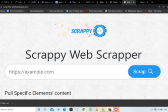 Scrap-The-Web
