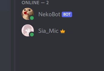 A simple discord Bot! – screenshot 1