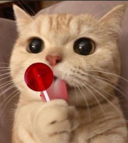 A simple Discord bot! – screenshot 1