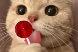 A simple Discord bot!