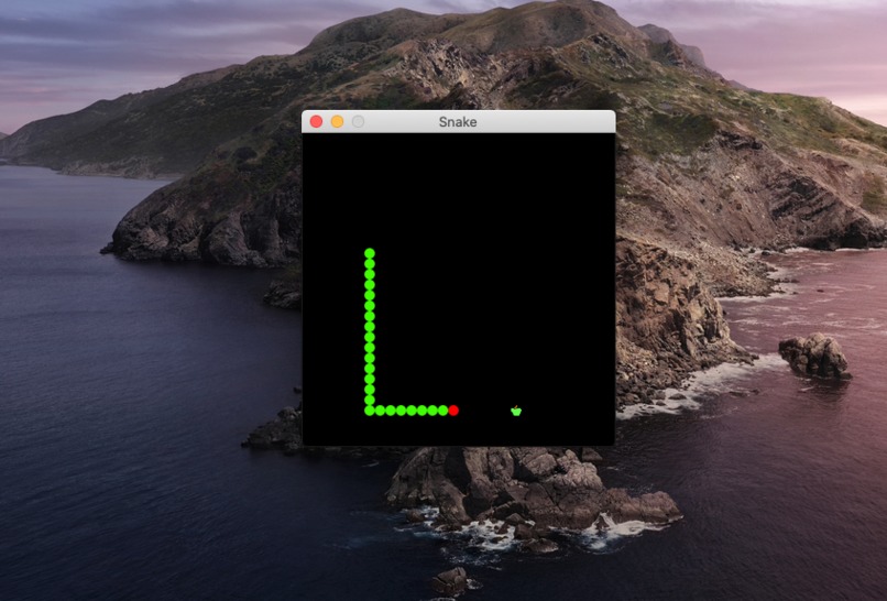 SnakeGame – screenshot 1