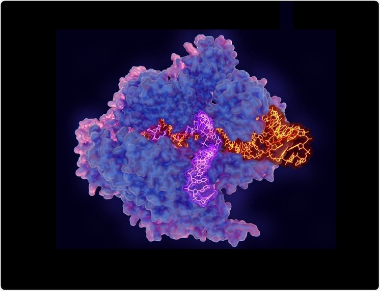 CRISPR Automated Reasoning – screenshot 2