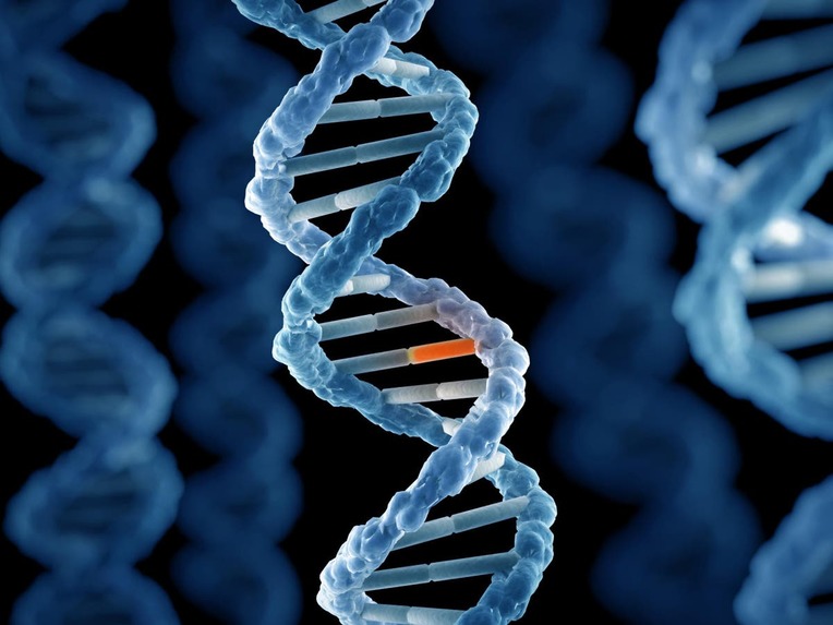 CRISPR Automated Reasoning – screenshot 1