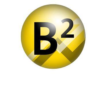 Buck Buddy, The Financial Security Application (Team Eagle) – screenshot 1