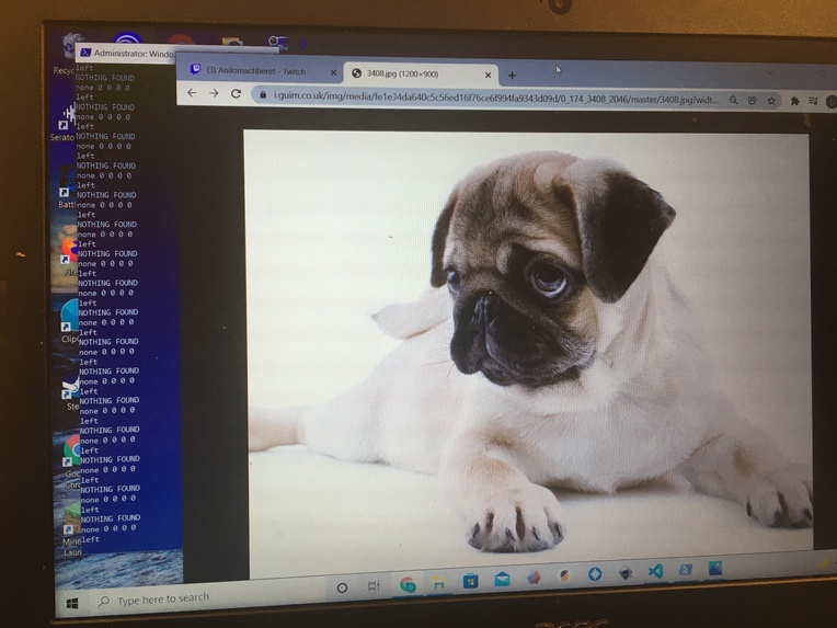 bewithdoggy – screenshot 3