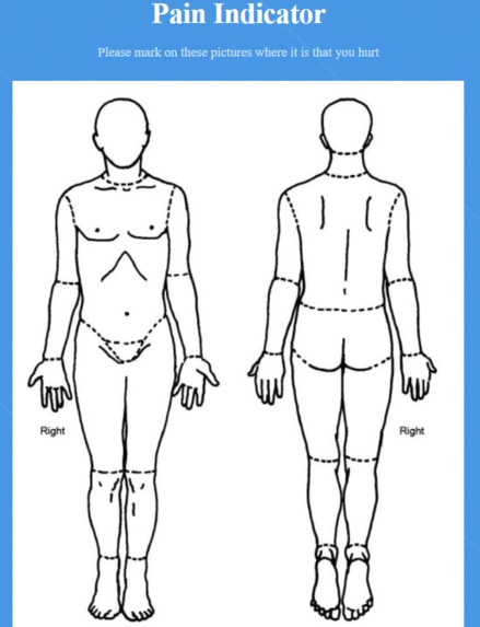 Healthcare Assessment Pro – screenshot 3