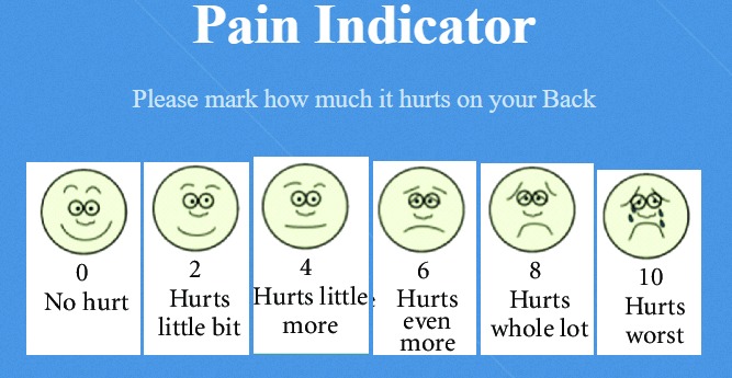 Healthcare Assessment Pro – screenshot 4