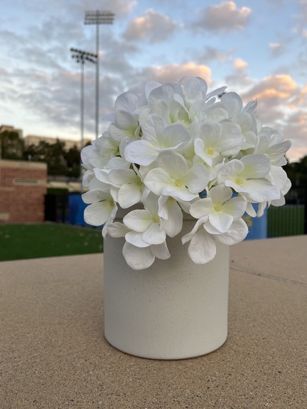 SproutRoute  – screenshot 4