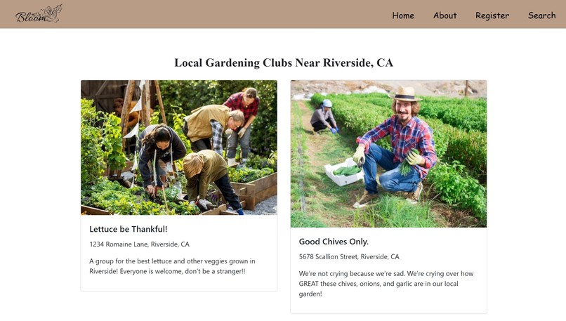 Bloom – screenshot 2