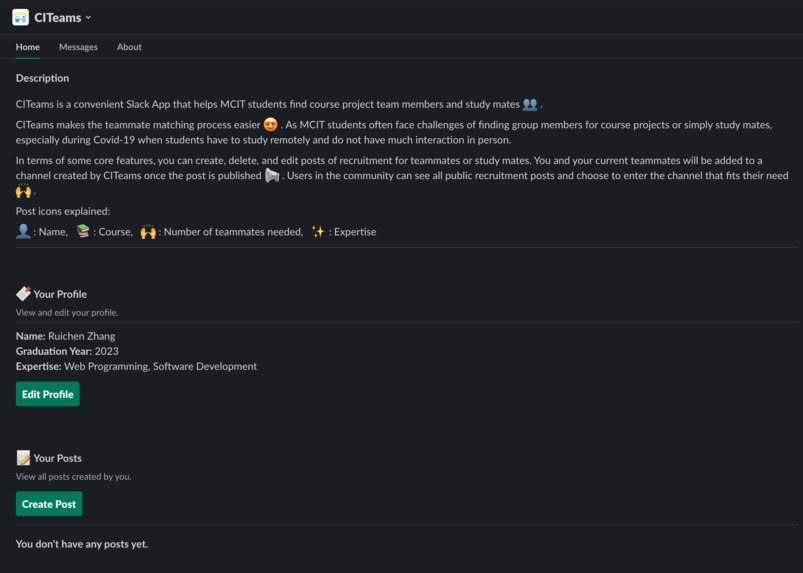 CITeams – screenshot 2