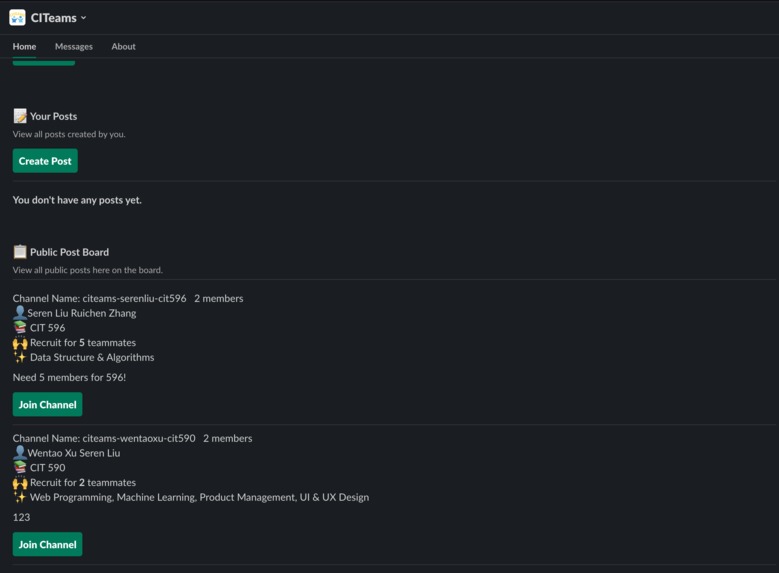 CITeams – screenshot 7
