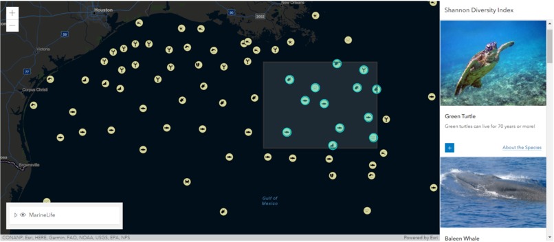 Something's Fishy – screenshot 3