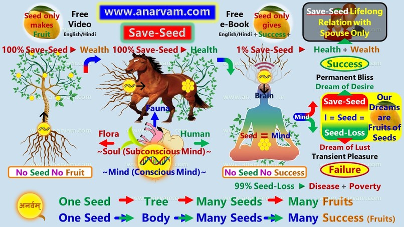 Natural Science of Health and Wealth : Save-Seed – screenshot 4
