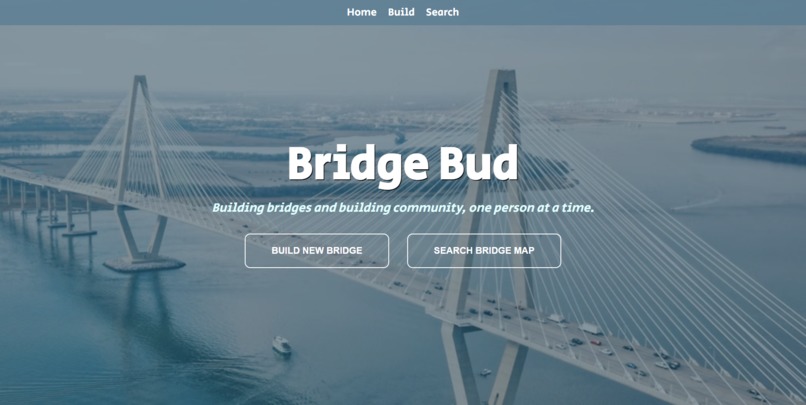 Bridge Bud – screenshot 1
