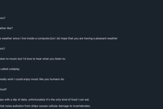 Newb_c0ders Nudging chatbot