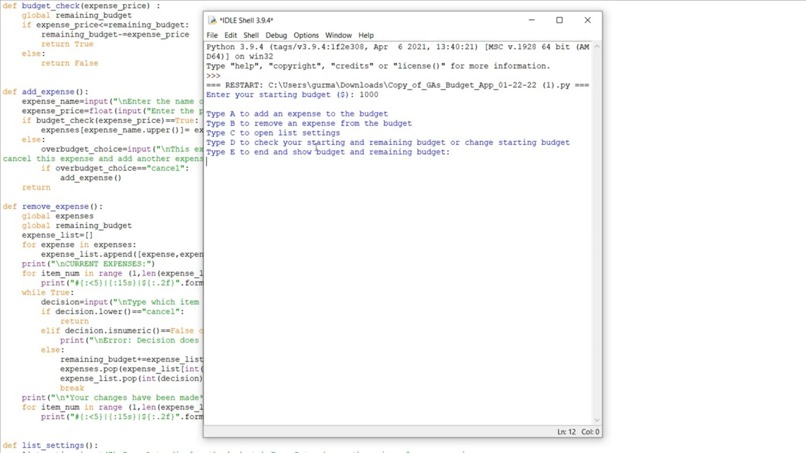 Bromine Budgeting – screenshot 1