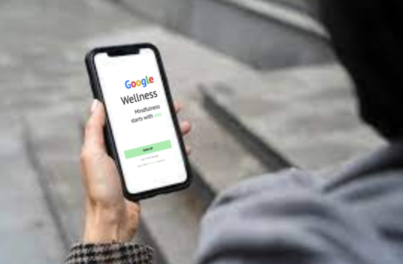 Google Wellness – screenshot 1