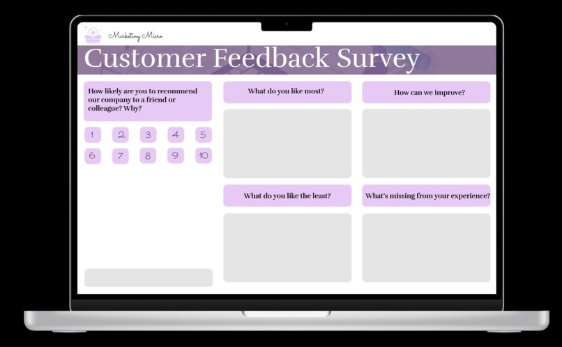 Marketing Micro- NPS Survey – screenshot 2