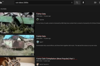 InTensorly Disstrakted