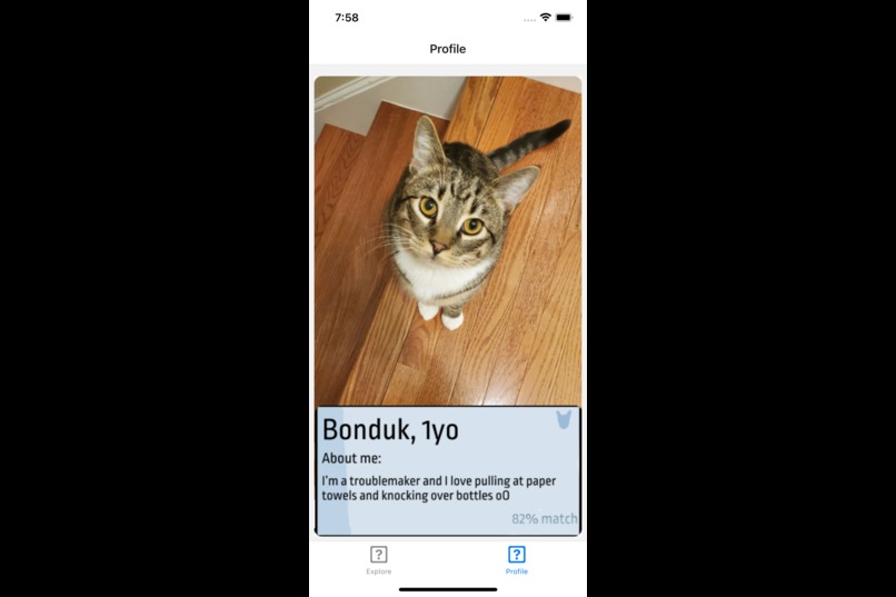 Catfish, the less super-fish-ial dating app – screenshot 3