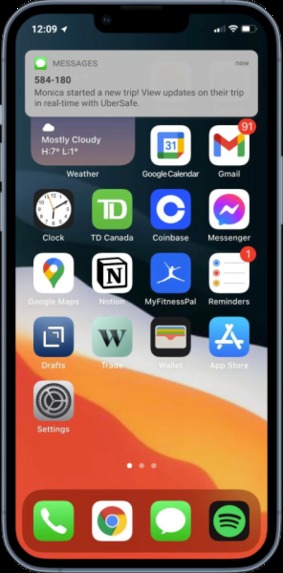 PinSafe – screenshot 5