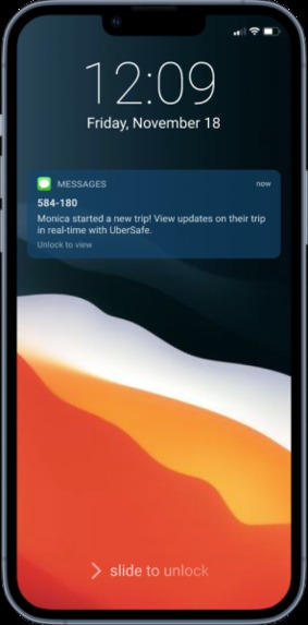 PinSafe – screenshot 4