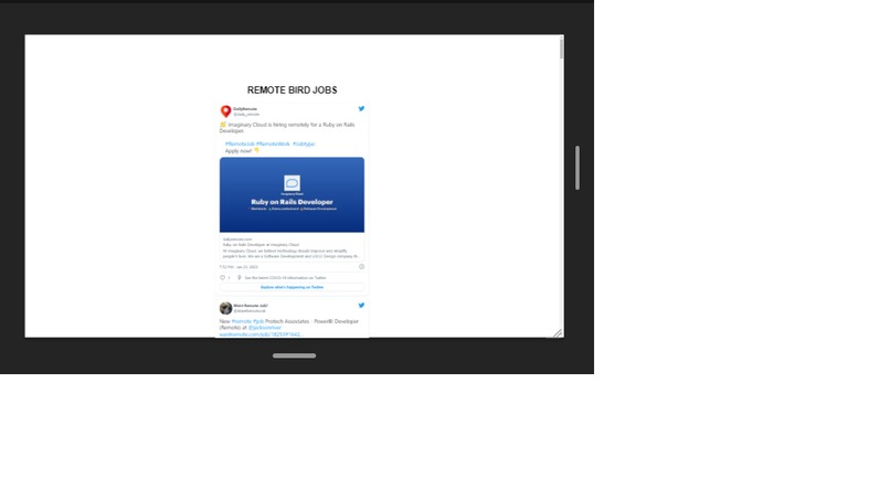 REMOTE BIRD JOBS – screenshot 2