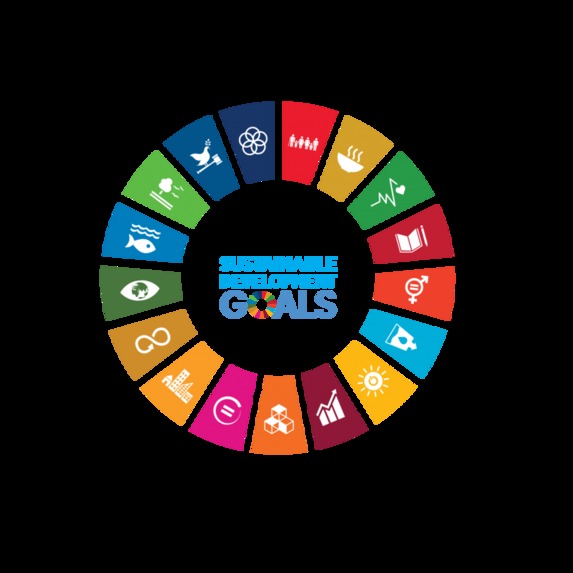 SDGoals On The Go – screenshot 1