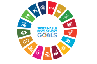 SDGoals On The Go