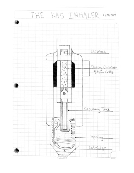 Group 15: The KAS Inhaler (Kiana.B, Susan.K, Anushka.D) – screenshot 1