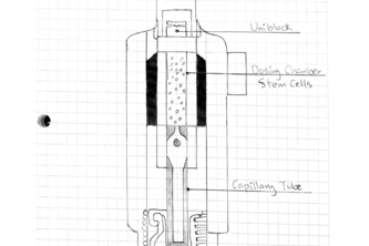 Group 15: The KAS Inhaler (Kiana.B, Susan.K, Anushka.D)