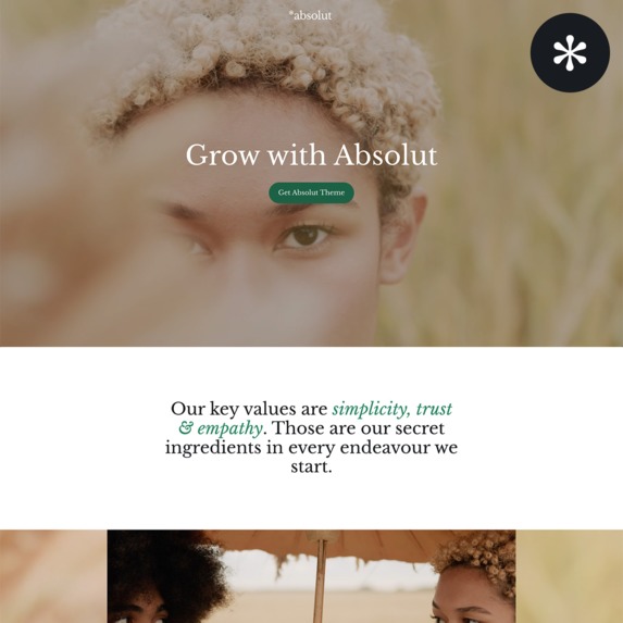 Absolut HubSpot Theme – screenshot 3