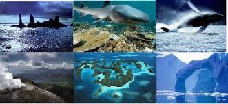 Rozik – screenshot 1