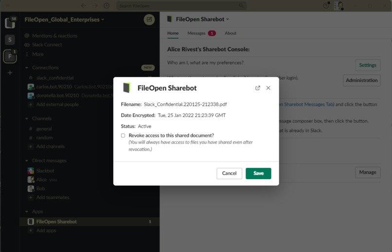 FileOpen Sharebot – screenshot 8