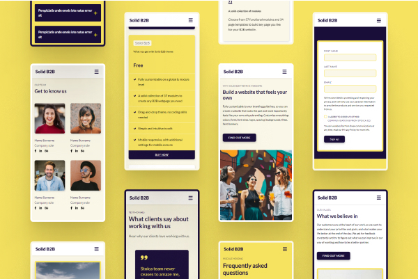 Solid B2B Theme – screenshot 4