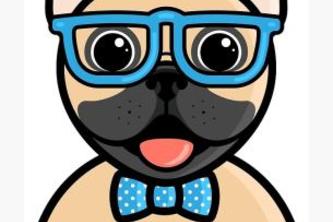 #16 - Team KST - GU4U Bot