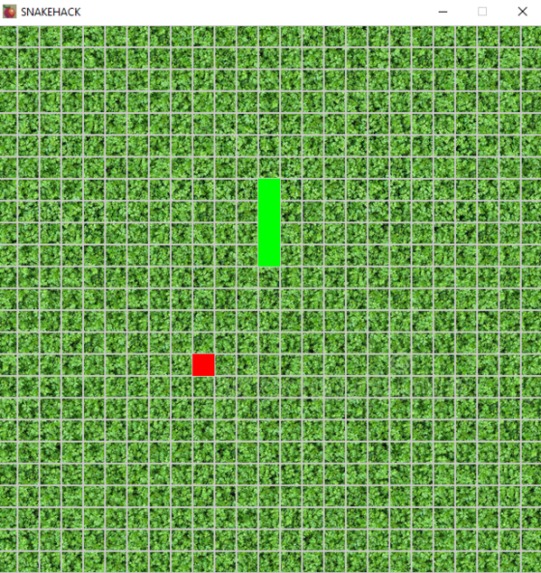 Snake hack – screenshot 2